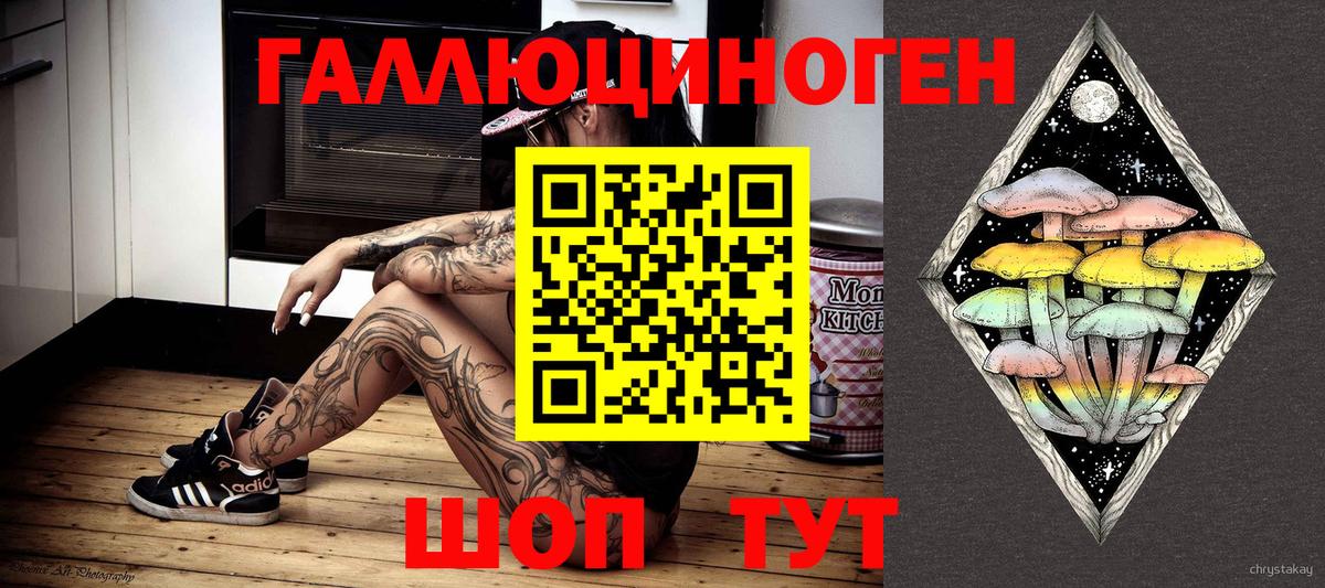 Псилоцибиновые грибы Psilocybine cubensis  Вход с VPN  Спасск-Дальний  Псилоцибиновые грибы мухоморы 