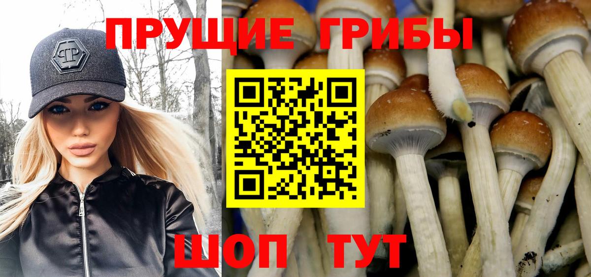 Галлюциногенные грибы GOLDEN TEACHER Спасск-Дальний
